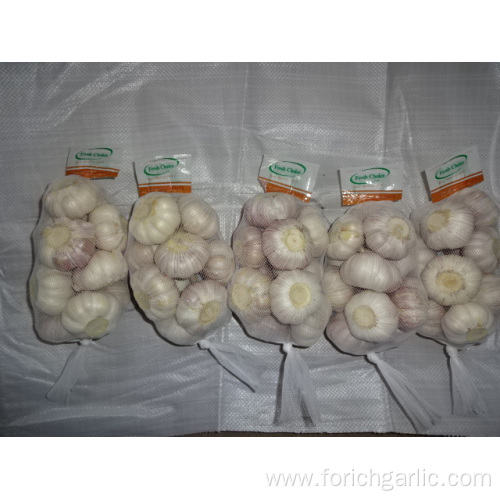 Normal White Garlic High Quality